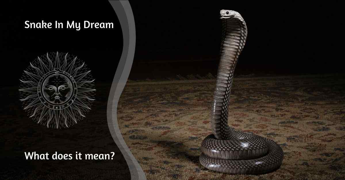 I saw a snake in my dream? What does it mean or symbolize?